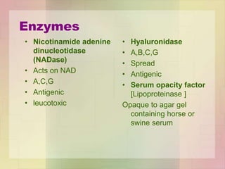 Enzymes
• Nicotinamide adenine
dinucleotidase
(NADase)
• Acts on NAD
• A,C,G
• Antigenic
• leucotoxic
• Hyaluronidase
• A,B,C,G
• Spread
• Antigenic
• Serum opacity factor
[Lipoproteinase ]
Opaque to agar gel
containing horse or
swine serum
 