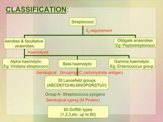 CLASSIFICATION:
Streptococci
Aerobes & facultative
anaerobes
Obligate anaerobes
Eg: Peptostreptococci
Beta haemolytic
Gamma haemolytic
Eg: Enterococcus group
Alpha haemolytic
Eg: Viridans streptococci
20 Lancefield groups
(ABCDEFGHKLMNOPQRSTUV)
80 Griffith types
(1,2,3,etc. up to 80)
02 requirement
Haemolysis
Serological Grouping (C carbohydrate antigen)
Group A- Streptococcus pyogens
Serological typing (M Protein)
 