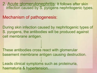 2. Acute glomerulonephritis: It follows after skin
infection caused by S. pyogens nephritogenic types.
Mechanism of pathogenesis:
During skin infection caused by nephritogenic types of
S. pyogens, the antibodies will be produced against
cell membrane antigen.
These antibodies cross react with glomerular
basement membrane antigen causing destruction.
Leads clinical symptoms such as proteinuria,
haematuria & hypertension.
 