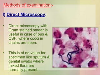 I) Direct Microscopy:
• Direct microscopy with
Gram stained smear is
useful in case of pus &
CSF, where cocci in
chains are seen.
• This is of no value for
specimen like sputum &
genital swabs where
mixed flora are
normally present.
Methods of examination:-
 