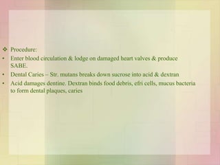  Procedure:
• Enter blood circulation & lodge on damaged heart valves & produce
SABE.
• Dental Caries – Str. mutans breaks down sucrose into acid & dextran
• Acid damages dentine. Dextran binds food debris, efri cells, mucus bacteria
to form dental plaques, caries
 