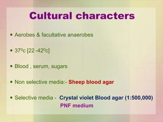 Cultural characters
 Aerobes & facultative anaerobes
 370c [22 -420c]
 Blood , serum, sugars
 Non selective media:- Sheep blood agar
 Selective media - Crystal violet Blood agar (1:500,000)
PNF medium
 
