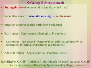 Group B Streptococci:
• Str. Agalactiae (Commonsal in female genital tract)
• Imporatant cause of neonatal meningitis, septicaemia
• Infection acquired during birth from birth canal
• Early onset – Septicaemia, Meningitis, Pneumonia
• Late onset – less severe (Osteomyelitis, arthritis, conjunctivitis,
respiratory infection, endocarditis & peritonitis.)
• Adults infection – Septic abortion, Puerperal sepsis
Identified by CAMP (Christine Atkins Munch Peterson) reaction. CAMP
factor enhances the Beta hemolysis caused by Staphylococcus
 