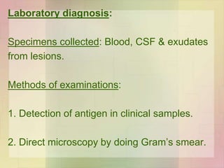 Laboratory diagnosis:
Specimens collected: Blood, CSF & exudates
from lesions.
Methods of examinations:
1. Detection of antigen in clinical samples.
2. Direct microscopy by doing Gram’s smear.
 
