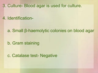 3. Culture- Blood agar is used for culture.
4. Identification-
a. Small β-haemolytic colonies on blood agar
b. Gram staining
c. Catalase test- Negative
 