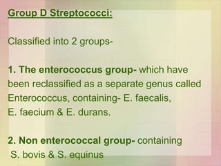 Group D Streptococci:
Classified into 2 groups-
1. The enterococcus group- which have
been reclassified as a separate genus called
Enterococcus, containing- E. faecalis,
E. faecium & E. durans.
2. Non enterococcal group- containing
S. bovis & S. equinus
 
