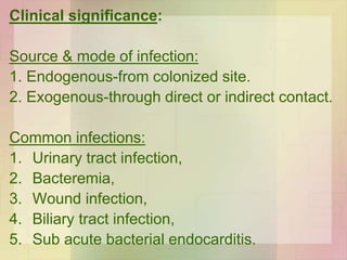 Clinical significance:
Source & mode of infection:
1. Endogenous-from colonized site.
2. Exogenous-through direct or indirect contact.
Common infections:
1. Urinary tract infection,
2. Bacteremia,
3. Wound infection,
4. Biliary tract infection,
5. Sub acute bacterial endocarditis.
 