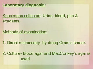 Laboratory diagnosis:
Specimens collected: Urine, blood, pus &
exudates.
Methods of examination:
1. Direct microscopy- by doing Gram’s smear.
2. Culture- Blood agar and MacConkey’s agar is
used.
 
