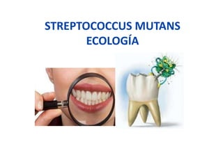 FAMILIA: STREPTOCOCCACEAE