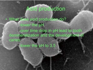 Acid production   <ul><li>What does acid production do?  </li></ul><ul><li>-lower the pH  </li></ul><ul><li>-over time dro...