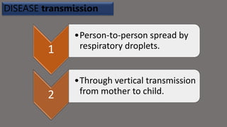 Streptococcus mutans of bacteria causes the dental plaque in mouth.pptx
