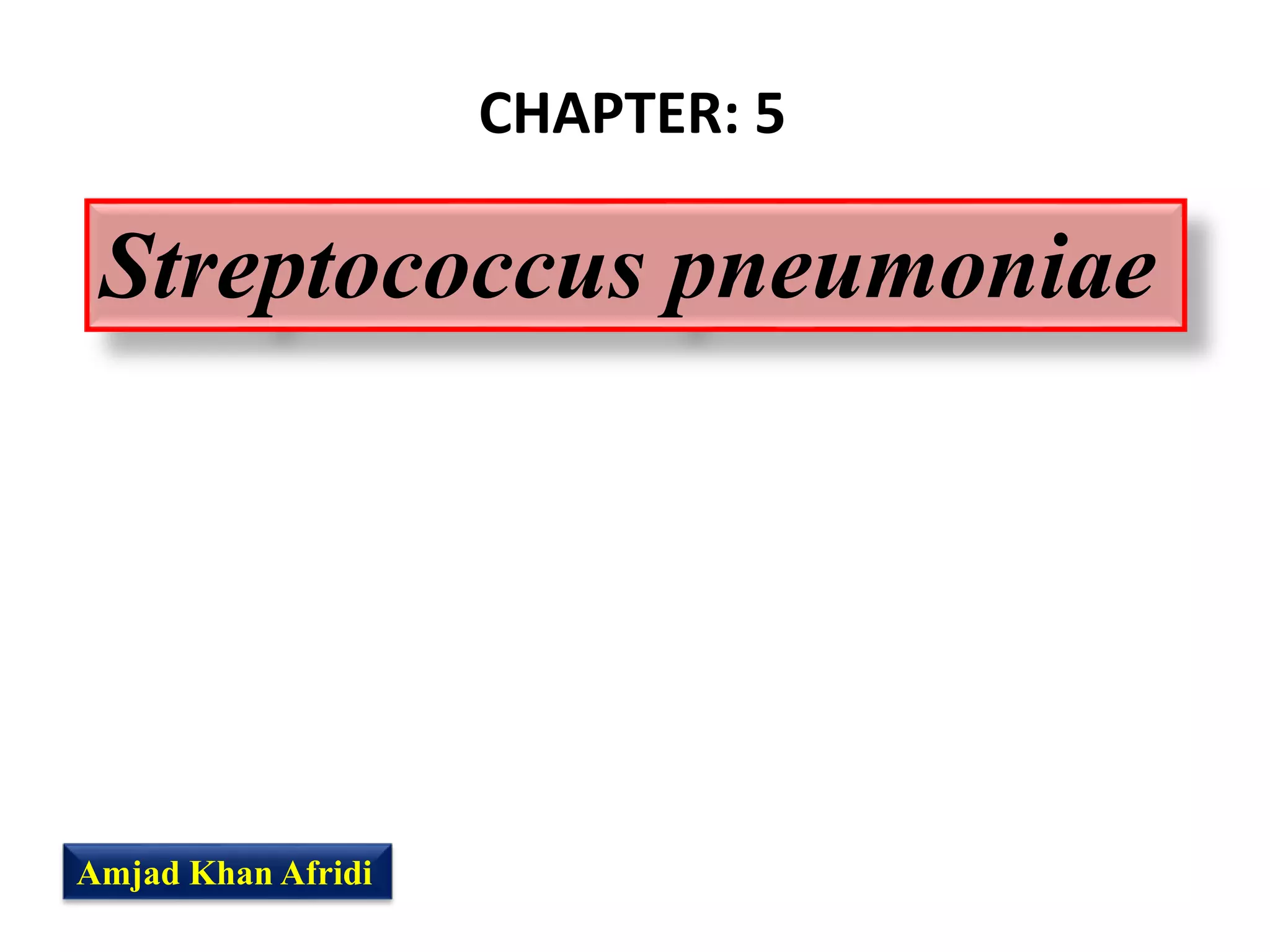 Streptococcus pneumoniae | PPT
