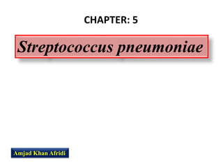 CHAPTER: 5
Streptococcus pneumoniae
Amjad Khan Afridi
 