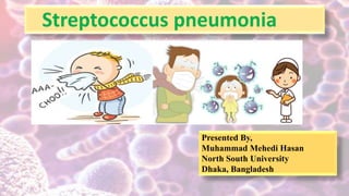 Streptococcus pneumonia
Presented By,
Muhammad Mehedi Hasan
North South University
Dhaka, Bangladesh
 