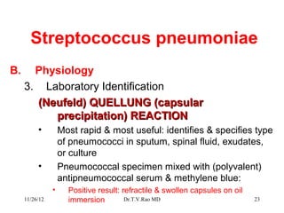 Streptococcus pneumoniae
B.     Physiology
     3. Laboratory Identification
       (Neufeld) QUELLUNG (capsular
          precipitation) REACTION
          •         Most rapid & most useful: identifies & specifies type
                    of pneumococci in sputum, spinal fluid, exudates,
                    or culture
          •         Pneumococcal specimen mixed with (polyvalent)
                    antipneumococcal serum & methylene blue:
                •     Positive result: refractile & swollen capsules on oil
     11/26/12         immersion         Dr.T.V.Rao MD                         23
 