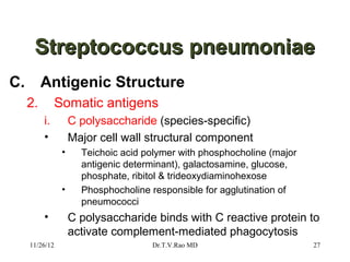 Streptococcus pneumoniae
C.        Antigenic Structure
     2.        Somatic antigens
          i.        C polysaccharide (species-specific)
          •         Major cell wall structural component
                •     Teichoic acid polymer with phosphocholine (major
                      antigenic determinant), galactosamine, glucose,
                      phosphate, ribitol & trideoxydiaminohexose
                •     Phosphocholine responsible for agglutination of
                      pneumococci
          •         C polysaccharide binds with C reactive protein to
                    activate complement-mediated phagocytosis
     11/26/12                        Dr.T.V.Rao MD                       27
 