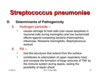Streptococcus pneumoniae
D.      Determinants of Pathogenicity
     6.   Hydrogen peroxide –
           •      causes damage to host cells (can cause apoptosis in
                  neuronal cells during meningitis) and has bactericidal
                  effects against competing bacteria (Haemophilus
                  influenzae, Neisseria meningitidis, Staphylococcus
                  aureus)
     6.        Pili –
           •      hair-like structures that extend from the surface
           •      contributes to colonization of upper respiratory tract
                  and increase the formation of large amounts of TNF by
                  the immune system during sepsis, raising the
                  possibility of septic shock
11/26/12                          Dr.T.V.Rao MD                            31
 