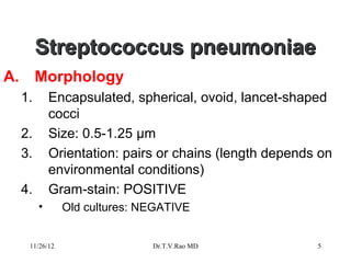 Streptococcus pneumoniae
A. Morphology
 1.       Encapsulated, spherical, ovoid, lancet-shaped
          cocci
 2.       Size: 0.5-1.25 μm
 3.       Orientation: pairs or chains (length depends on
          environmental conditions)
 4.       Gram-stain: POSITIVE
      •      Old cultures: NEGATIVE


  11/26/12                  Dr.T.V.Rao MD             5
 