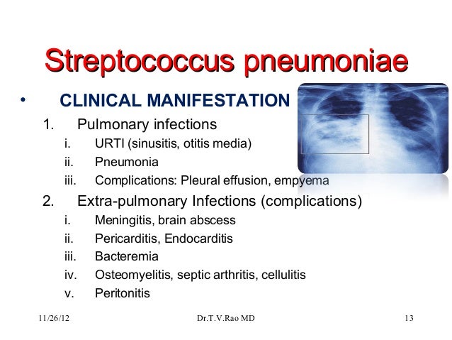 Streptococcus pneumoniae