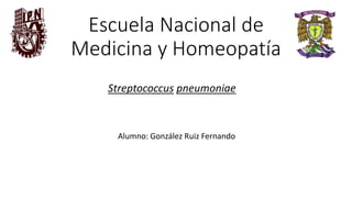 Escuela Nacional de 
Medicina y Homeopatía 
Streptococcus pneumoniae 
Alumno: González Ruiz Fernando 
 