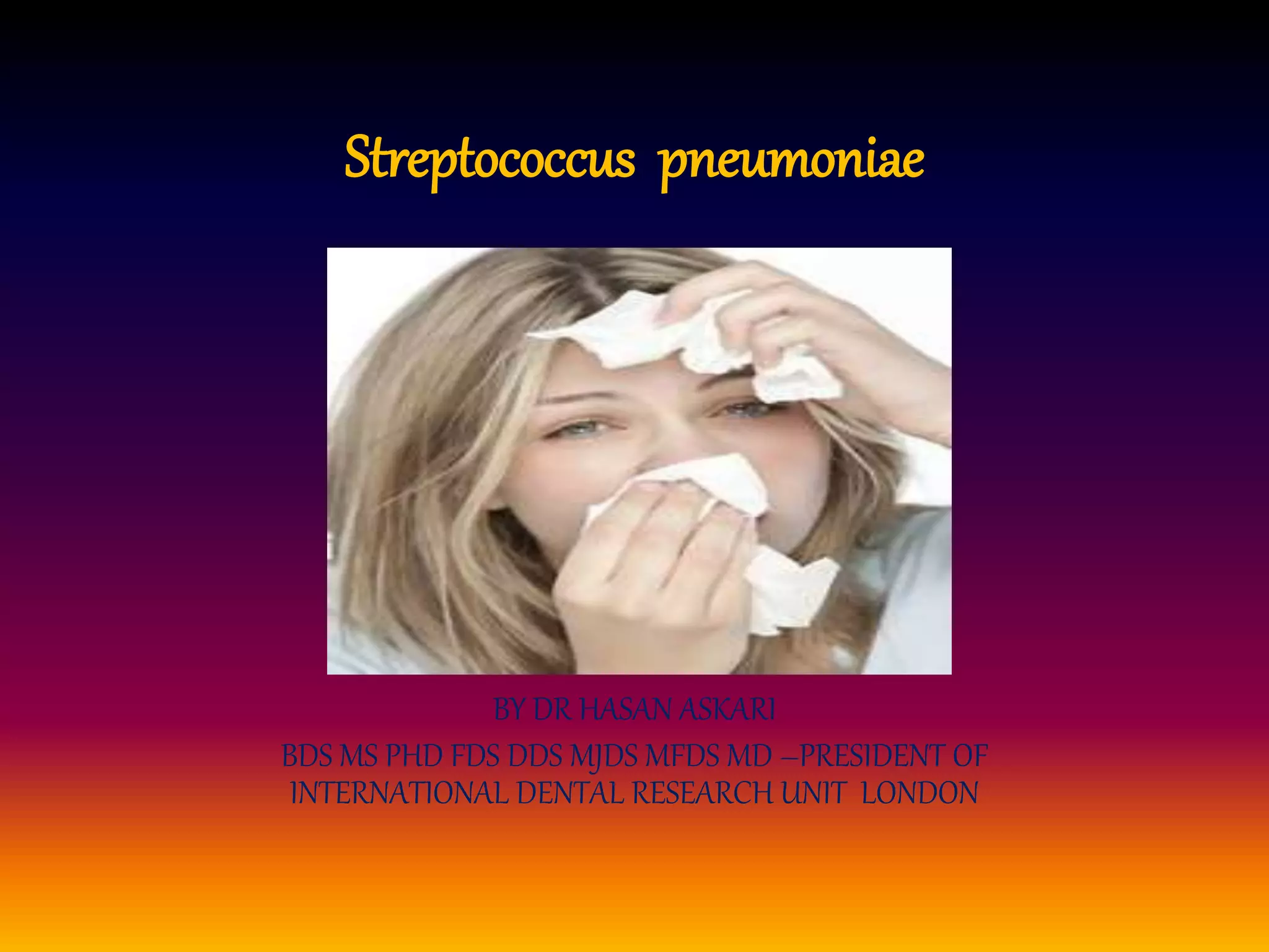 Streptococcus pneumoniae | PPT