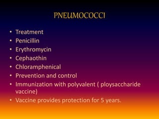 PNEUMOCOCCI
• Treatment
• Penicillin
• Erythromycin
• Cephaothin
• Chloramphenical
• Prevention and control
• Immunization with polyvalent ( ploysaccharide
vaccine)
• Vaccine provides protection for 5 years.
 