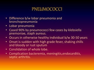 PNEUMOCOCCI
• Difference b/w lobar pneumonia and
bronchopneumonia
• Lobar pneumonia
• Cased 90% by pneumococci few cases by klebsiella
pnemoniae, staph aureus.
• Occurs in otherwise healthy individual b/w 30-50 years
• Onset is sudden with high grade fever, shaking chills
and bloody or rust sputum
• Conslidation of whole lobe.
• Complication bacteremia, meningitis,endocarditis,
septic arthritis.
 