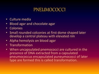 PNEUMOCOCCI
• Culture media
• Blood agar and chocolate agar
• Colonies
• Small rounded colconies at first dome shaped later
develop a central plateau with elevated rim
• Alpha hemolysis on blood agar
• Transformation
• When uncapsulated pnemococci are cultured in the
presence of DNA extracted from a capsulated
pneumococcus encapsulated puneumococci of later
type are formed this is called transformation.
 