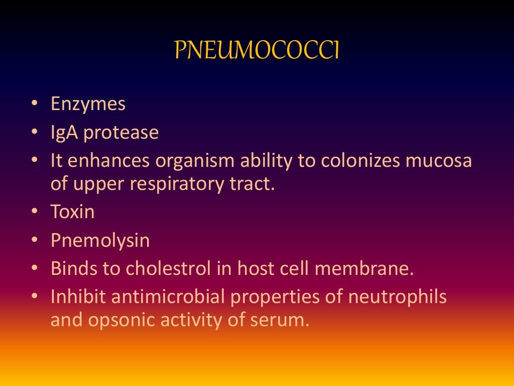Streptococcus pneumoniae