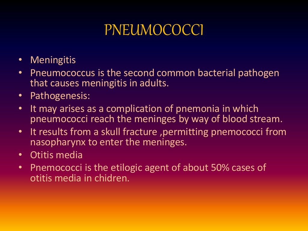 Streptococcus pneumoniae