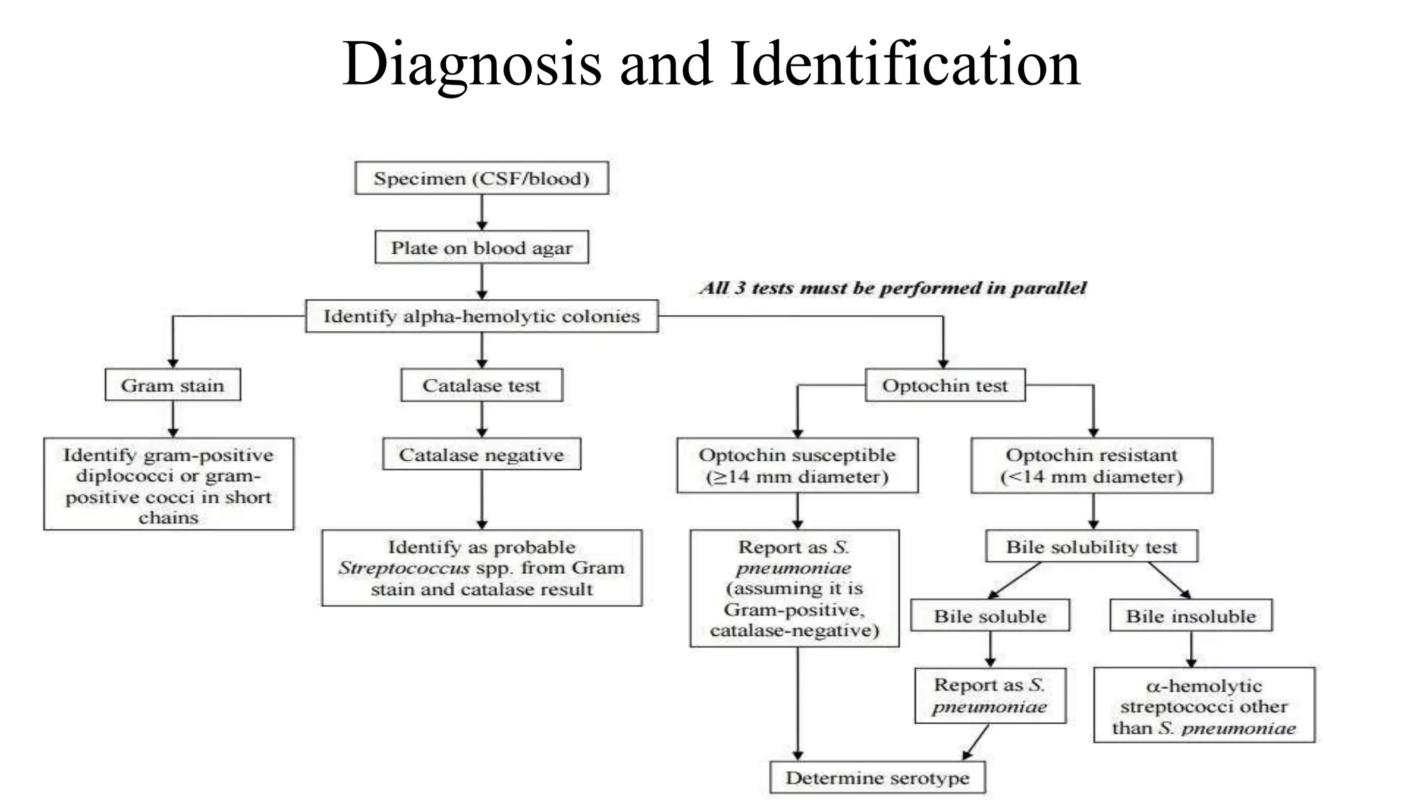 Diagnosis and Identification
 