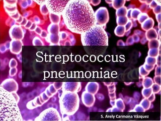 Streptococcus
pneumoniae
S. Arely Carmona Vázquez
 