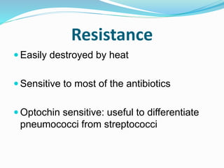 Resistance
 Easily destroyed by heat
 Sensitive to most of the antibiotics
 Optochin sensitive: useful to differentiate
pneumococci from streptococci
 
