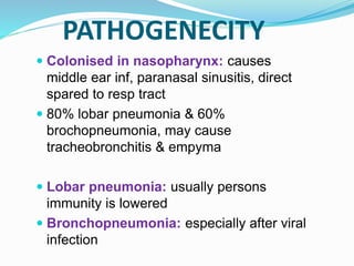 PATHOGENECITY
 Colonised in nasopharynx: causes
middle ear inf, paranasal sinusitis, direct
spared to resp tract
 80% lobar pneumonia & 60%
brochopneumonia, may cause
tracheobronchitis & empyma
 Lobar pneumonia: usually persons
immunity is lowered
 Bronchopneumonia: especially after viral
infection
 