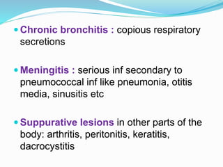  Chronic bronchitis : copious respiratory
secretions
 Meningitis : serious inf secondary to
pneumococcal inf like pneumonia, otitis
media, sinusitis etc
 Suppurative lesions in other parts of the
body: arthritis, peritonitis, keratitis,
dacrocystitis
 