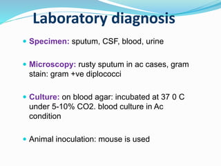 Laboratory diagnosis
 Specimen: sputum, CSF, blood, urine
 Microscopy: rusty sputum in ac cases, gram
stain: gram +ve diplococci
 Culture: on blood agar: incubated at 37 0 C
under 5-10% CO2. blood culture in Ac
condition
 Animal inoculation: mouse is used
 
