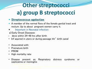 Other streptococci
a) group B streptococci
 Streptococcus agalactiae:
 A member of the normal flora of the female genital tract and
rectum. Up to about pregnant women carry it.
 Important in Neonatal infection:
a) Early Onset Diasease:
• deve within 24-48 hrs after birth
• Inf aquired in utero or during passage thr’ birth canal
• Associated with:
• Premature birth
• PROM
• High mortality rate
• Disease present as Respiratory distress syndrome or
septicemia or meningitis
a)Early-onset Disease:
severe disease develops within 24 – 48 hrs. after birth. Infection acquired either in-utero or
during passage through birth canal.
 