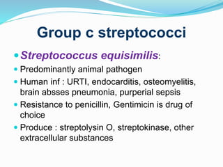 Group c streptococci
Streptococcus equisimilis:
 Predominantly animal pathogen
 Human inf : URTI, endocarditis, osteomyelitis,
brain absses pneumonia, purperial sepsis
 Resistance to penicillin, Gentimicin is drug of
choice
 Produce : streptolysin O, streptokinase, other
extracellular substances
 