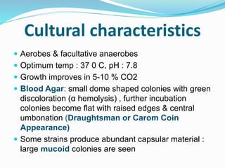 Cultural characteristics
 Aerobes & facultative anaerobes
 Optimum temp : 37 0 C, pH : 7.8
 Growth improves in 5-10 % CO2
 Blood Agar: small dome shaped colonies with green
discoloration (α hemolysis) , further incubation
colonies become flat with raised edges & central
umbonation (Draughtsman or Carom Coin
Appearance)
 Some strains produce abundant capsular material :
large mucoid colonies are seen
 