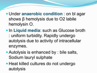  Under anaerobic condition : on bl agar
shows β hemolysis due to O2 labile
hemolysin O.
 In Liquid media: such as Glucose broth
: uniform turbidity. Rapidly undergo
autolysis due to activity of intracellular
enzymes.
 Autolysis is enhanced by : bile salts,
Sodium lauryl sulphate
 Heat killed cultures do not undergo
autolysis
 