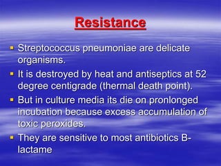 Resistance
 Streptococcus pneumoniae are delicate
organisms.
 It is destroyed by heat and antiseptics at 52
degree centigrade (thermal death point).
 But in culture media its die on pronlonged
incubation because excess accumulation of
toxic peroxides.
 They are sensitive to most antibiotics B-
lactame
 