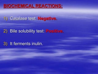 BIOCHEMICAL REACTIONS:
1) Catalase test: Negative.
2) Bile solubility test: Positive.
3) It ferments inulin.
 
