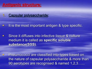 Antigenic structure:
1. Capsular polysaccharide:
 It is the most important antigen & type specific.
 Since it diffuses into infective tissue & culture
medium it is called as specific soluble
substance(SSS).
 Pneumococci are classified into types based on
the nature of capsular polysaccharide & more than
90 serotypes are recognised & named 1,2,3…...
 