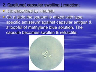 2. Quellung( capsular swelling ) reaction:
 It is described by Neufeld.
 On a slide the sputum is mixed with type
specific antiserum against capsular antigen &
a loopful of methylene blue solution. The
capsule becomes swollen & refractile.
 