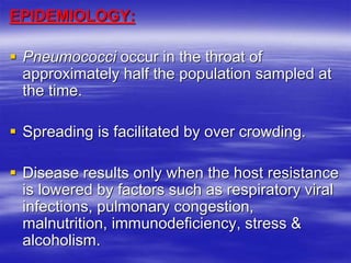 EPIDEMIOLOGY:
 Pneumococci occur in the throat of
approximately half the population sampled at
the time.
 Spreading is facilitated by over crowding.
 Disease results only when the host resistance
is lowered by factors such as respiratory viral
infections, pulmonary congestion,
malnutrition, immunodeficiency, stress &
alcoholism.
 