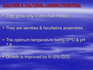 CULTURE & CULTURAL CHARACTERISTICS:
 They grow only in enriched media.
 They are aerobes & facultative anaerobes.
 The optimum temperature being 37ºC & pH
7.8.
 Growth is improved by 5-10% CO2.
 