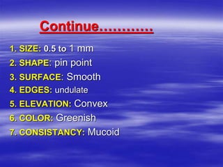 Continue…………
1. SIZE: 0.5 to 1 mm
2. SHAPE: pin point
3. SURFACE: Smooth
4. EDGES: undulate
5. ELEVATION: Convex
6. COLOR: Greenish
7. CONSISTANCY: Mucoid
 