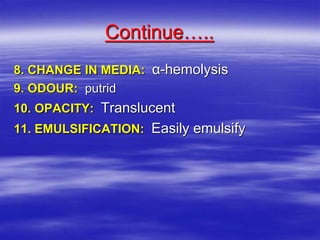 Continue…..
8. CHANGE IN MEDIA: α-hemolysis
9. ODOUR: putrid
10. OPACITY: Translucent
11. EMULSIFICATION: Easily emulsify
 
