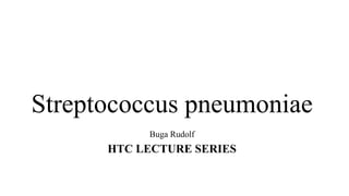 Streptococcus pneumoniae
Buga Rudolf
HTC LECTURE SERIES
 