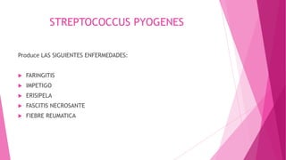 STREPTOCOCCUS PYOGENES
Produce LAS SIGUIENTES ENFERMEDADES:


FARINGITIS



IMPETIGO



ERISIPELA



FASCITIS NECROSANTE



FIEBRE REUMATICA

 